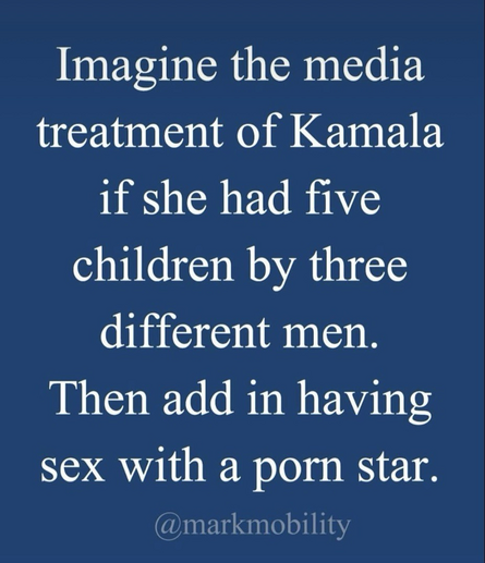 Poster style meme asking imagine if Kamala had 5 kids with 3 different men and then had sex with a porn star
