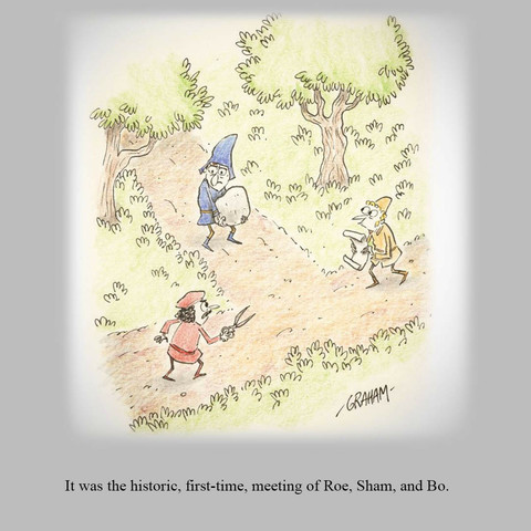 A cartoon illustration of three men named Roe, Sham and Bo, meeting at a crossroads. Roe is holding scissors, Sham has a rock, and Bo has paper. The caption underneath reads "It was the historic, first-time, meeting of Roe, Sham and Bo.