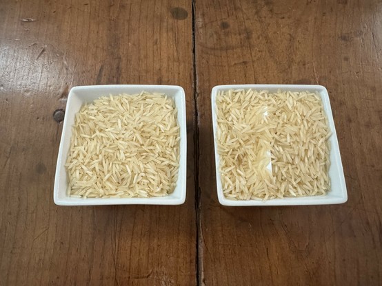 Two small square condiment dishes filled with rice. 