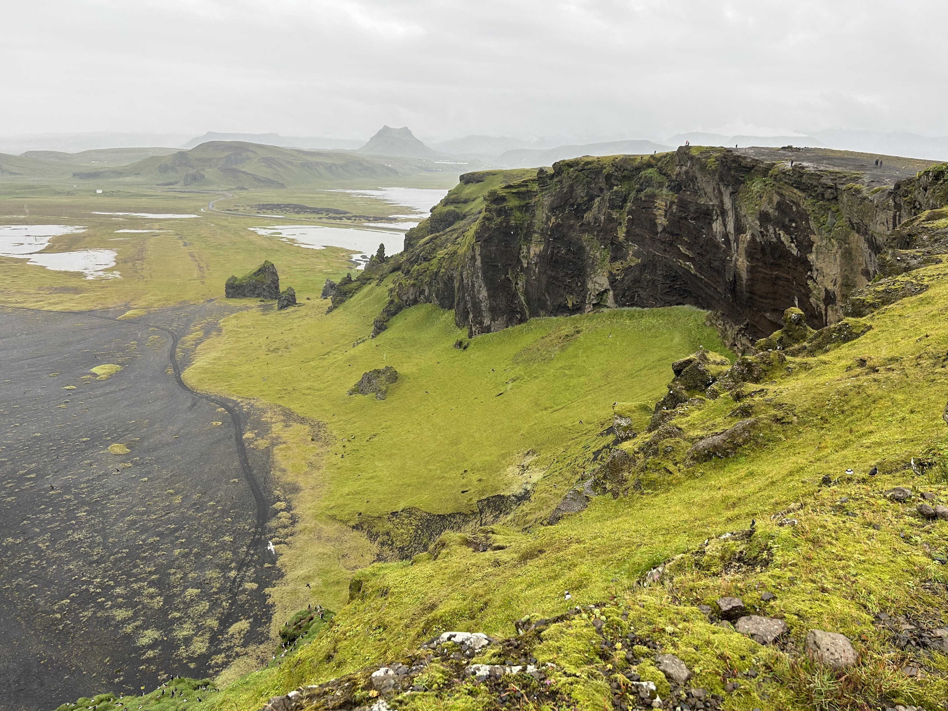 A scenic landscape featuring a rugged cliff with green moss and grass. Below the cliff lies a mixed terrain of black sand and patches of water, with distant rolling hills and mountains in the background. The sky is overcast.