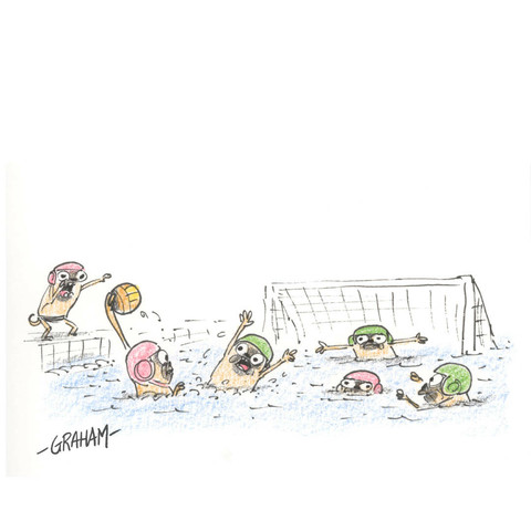 A cartoon illustration of pugs playing a game of water polo.