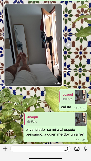 Una captura de Whatsapp. Un amigo manda una foto con el ventilador a los pies de la cama, y en la foto sale un espejo donde se refleja el ventilador. Le respondo: “el ventilador se mira al espejo como pensando, ¿a quién me doy un aire?”. 