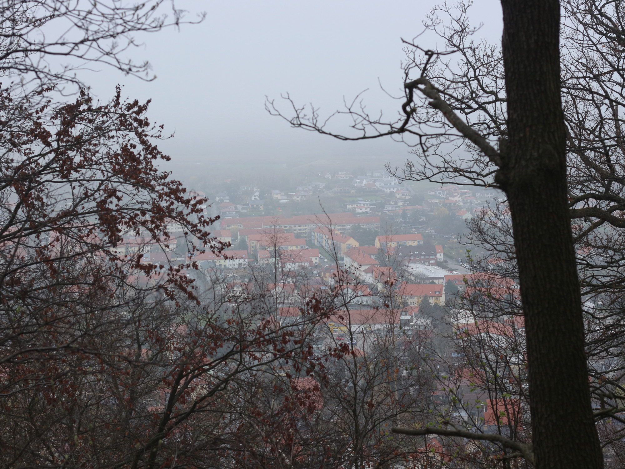 Blankenburg on a foggy day as seen from the Devils Wall