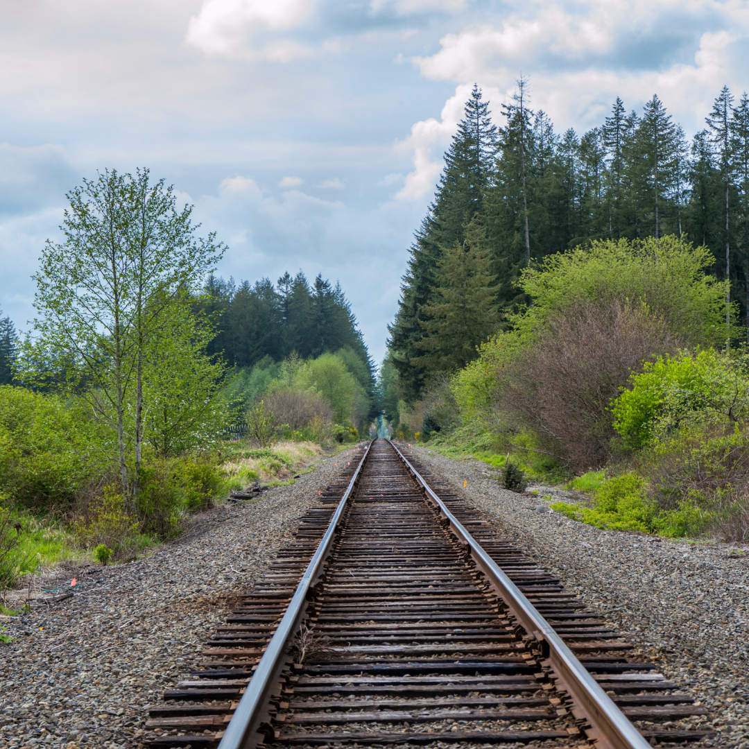 Man sieht Bahngleise, die durch ein idyllisches Waldstück führen. Die Gleise wirken verlassen und etwas veraltet.