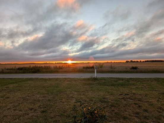 Sunrise over the corn field. Big wispy gray clouds are blowing through. A thin layer of clear sky below them holds a bright yellow sun, and a stripe of orange. Peeks at the blue sky above.