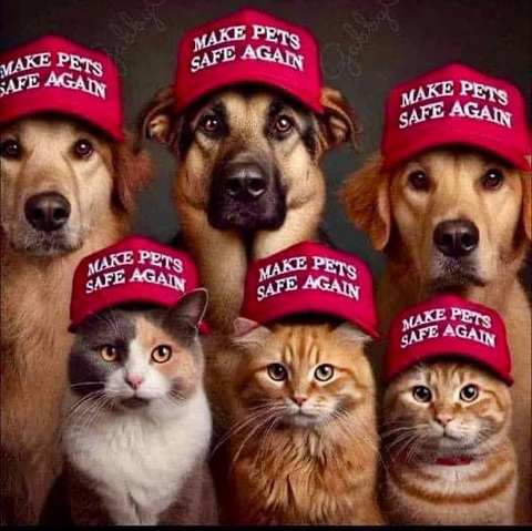 A row of four dogs behind a row of three cats all wearing red hats “Make Pets Safe Again”