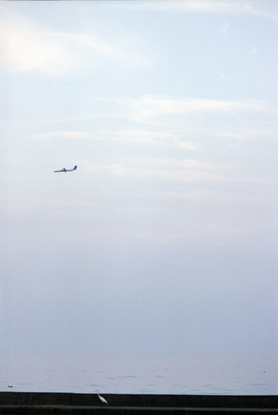 An egret on the breakwater, a couple ducks in the lake, a vanished horizon, and a plane in the sky. 