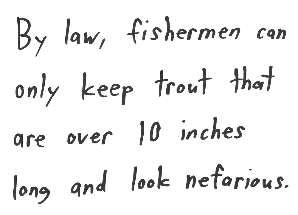 By law, fishermen can only keep trout that are over 10 inches long and look nefarious.