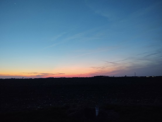 Sunrise over the corn field. Dark purple clouds on the horizon. There's a patch of pink in the middle, a lovely yellow on the left, and a big cloud on the right that almost looks like it was drawn with cross hatches. Deep, dreamy blue above!