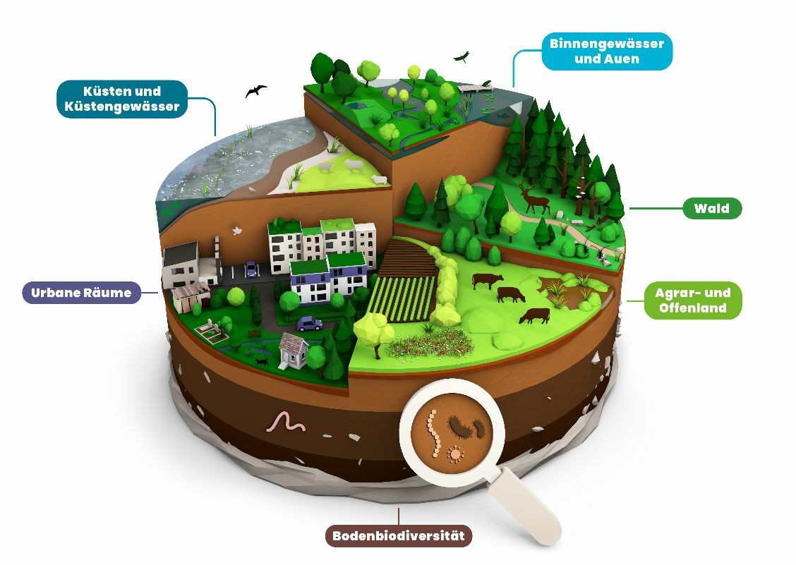 An artistic figure shown at the event illustrating biodiversity in many different dimensions as slices of a pie with different layers and sectors, from urban to coastal, agricultural to natural, aboveground to soils.