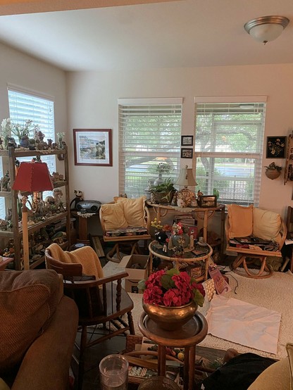 view of old furniture and antiques in living room, cat somewhere