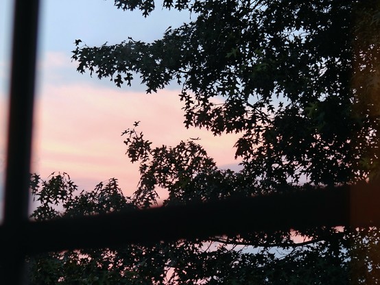 Two sides of a window pane in the foreground, and a tree that is in the dusk and looks almost black outside. The sky is a soft blue, and there is a fluffy pink cloud in it.