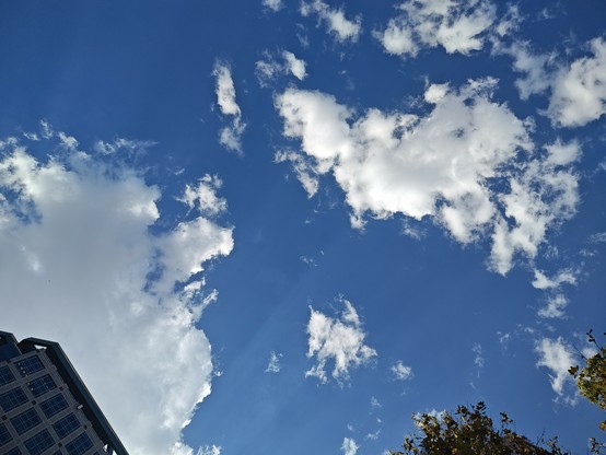 A shot of the blue sky while laying on my back. There's a few fluffy white clouds floating along. You can see some rays from the sun shining through the clouds, as well as the very top of a building and a tree lining the bottom of the photo.