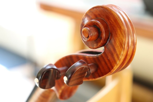 Photograph of the curling head of a violin, the polished wood revealing a straight grain cutting across the concentric curves. Two tuning pegs stand out, made of similarly grained wood but slightly darker, turned to be almost parallel with each other and lined toward the center of the head's curl.