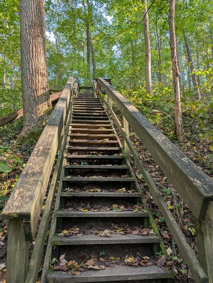 A weathered staircase that leads to more stairs, which lead to more stairs, then one tiny flat spot, then a ton more stairs. Yay.