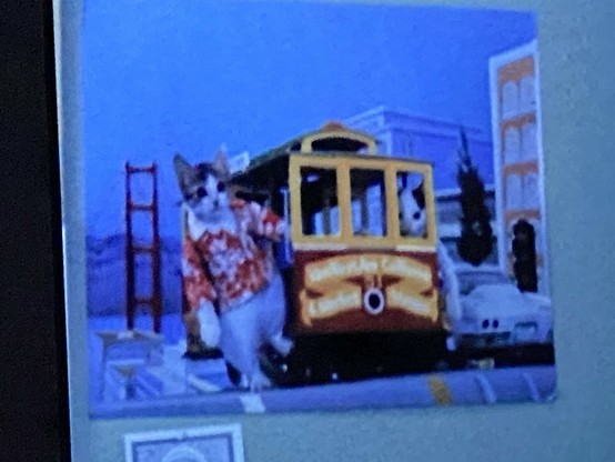 A poster with a cat in a shirt getting off a trolly. 