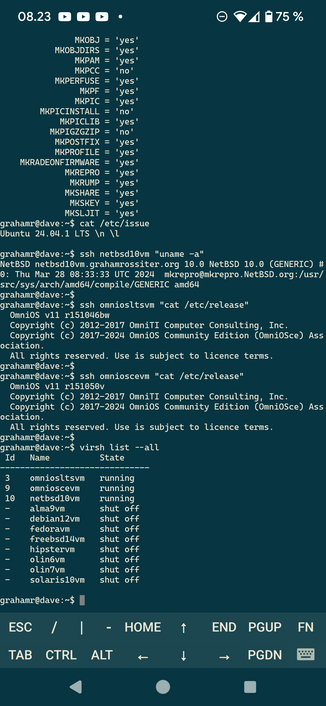 Screenshot of a Linux session listing a number of virtual machines (guests), three of which are simultaneously running, with some command output executed on them.