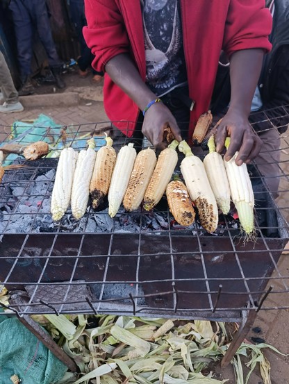 Roasting maize 