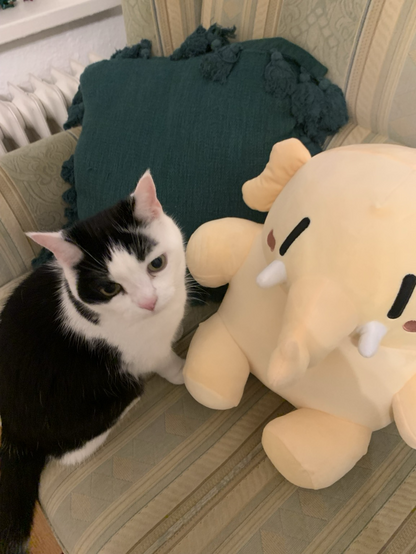 a tuxedo cat named büsi sitting next to a yellow plushie mastodon