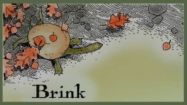 A storybook-style drawing of a river turtle resting on a rocky shore among the floating fall leaves. Overlaid text: Brink