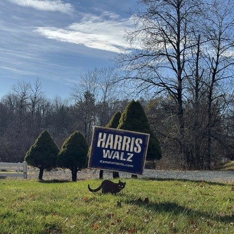 Square format photo of yard with official Harris-Walz campaign sign with black metal cat silhouette below. Trees bare of leaves form horizon with a couple conical firs in mid ground.