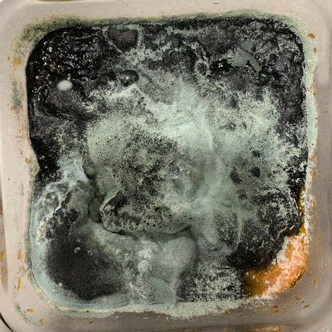 Mold