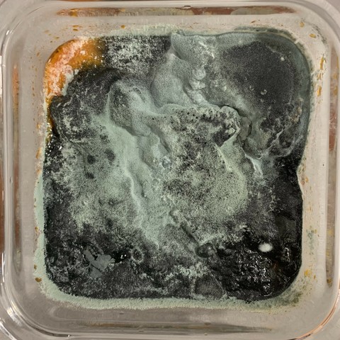 Mold
