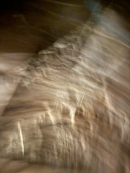 iPhone blurry mistake—lots of weird textures in neutral colors (tans, taupes, greiges, browns), totally abstract
