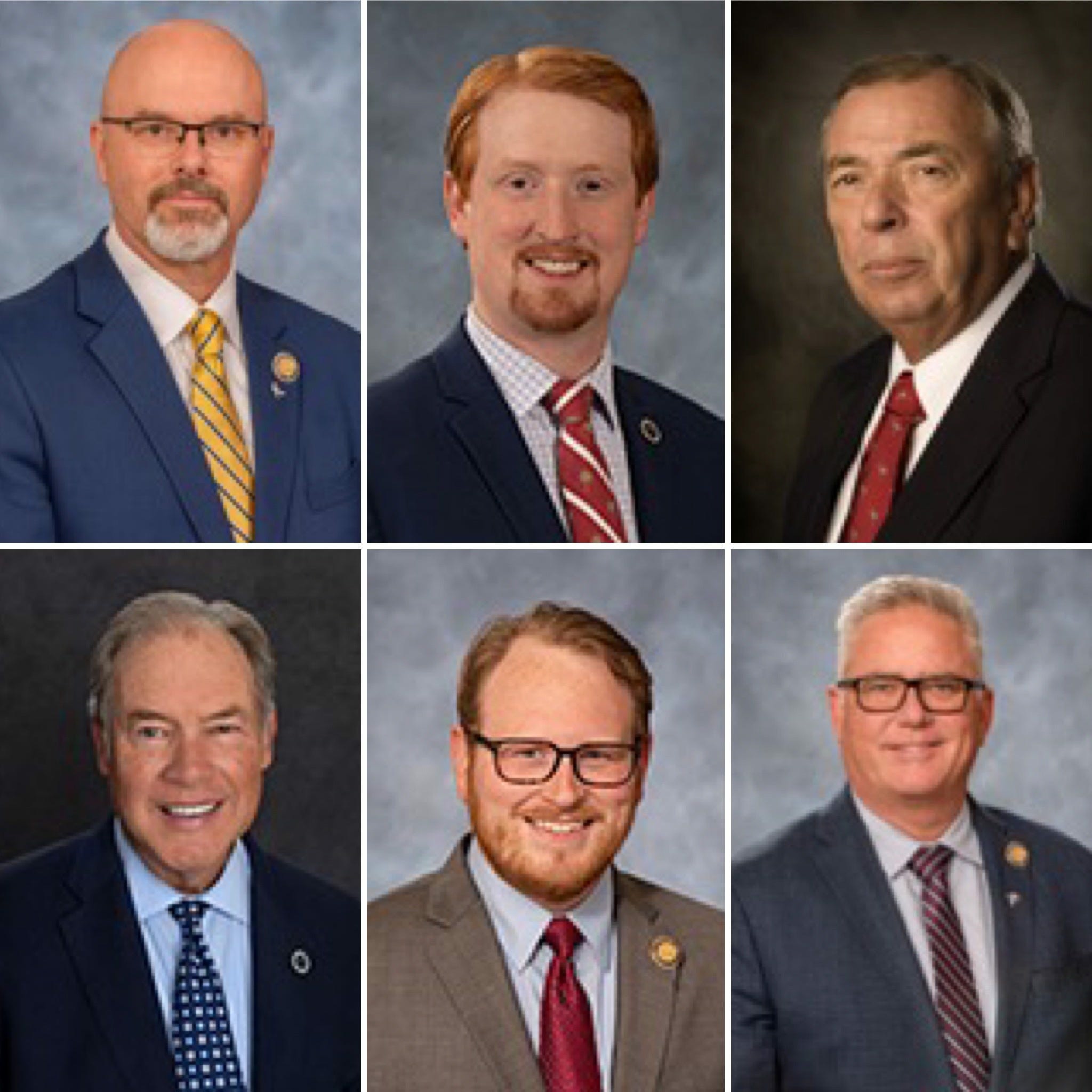 The six MAGA South Carolina Republicans from extremely diverse backgrounds calling to execute women who receive an abortion. (TL-BR) Harris, Magnuson, Chumley, Burns, Long, Kilmartin)