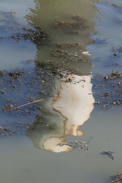 Staand beeld van de spiegeling van een meerpaal. Bovenin zwart, onderin wittig. 
Omgeven door blauwe spiegeling van de lucht. Op en in het water drijft wat blaaswier. 