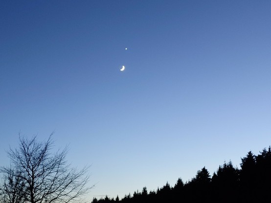 Against a pale blue, cloudless sky, a thin  sickle of the moon is seemingly pointed at bright brilliant dot Venus just a small distance away, close but far, or far but close. Below, dark silhouettes of a forest edge to the right, and the barren branches of a tree to the left.
