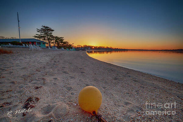 Silver Sands at Sunrise is a color photograph at the beach as the sun was peeking above the trees at the far end of the beach. A tranquil and stunning image