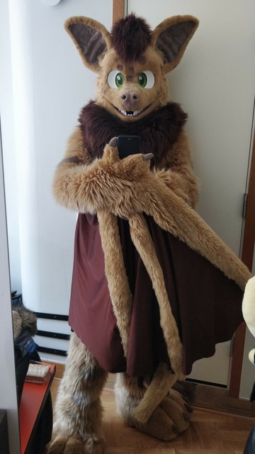 Photo of Neop the bat (fursuit) at his hotel room mirror