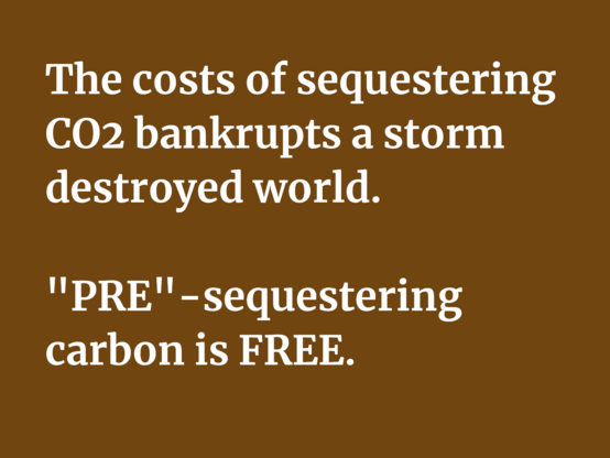 The costs of sequestering CO2 bankrupts a storm destroyed world.

"PRE'" -sequestering carbon is FREE. 