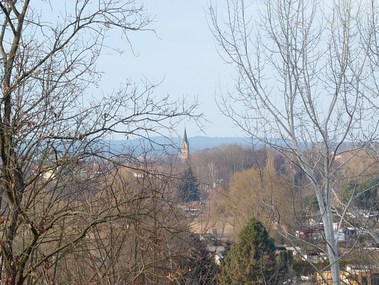 A view from a slight height across a Brandenburg town. Framed by barren trees on the left and  right, a church steeple dominates the far center asking some roofs and much greenery. The skies are clear but the sun is a weak winter sun. A view I encountered while out on a walk today.