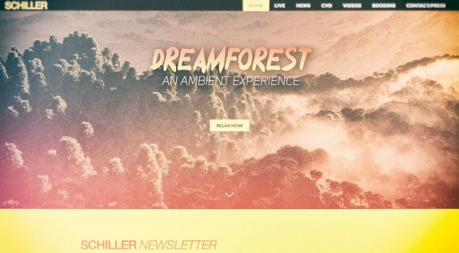 cover art depicting a vast stylized natural environment with mist for German electronic music giant SCHILLER's Dreamforest project