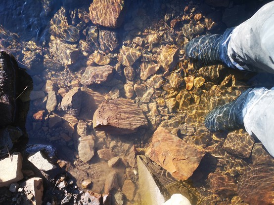 Looking vertically down into a small river. There are brown stones in the river bed and my legs and feet are in the picture. I'm wearing a dark blue waterproof suit and steel toed wellingtons. Water is not much above my ankles. It's a sunny day. 