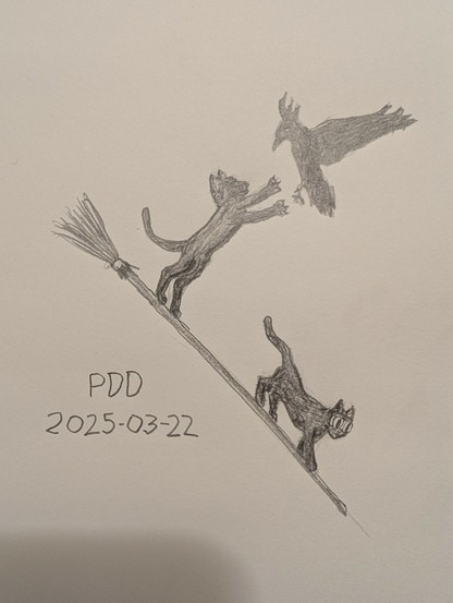 Pencil sketch of two black cats riding a broom. The one in the front is wearing goggles. The one in the back is lunging at a crow.