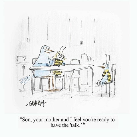 A cartoon illustration of a father bird and mother bee sitting down to talk to their mixed bird-bee child. Caption reads "Son, your mother and I feel you're ready to have the 'talk'."