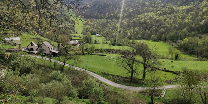 Bucólico paisaje desde Santa Grazi. Se ve un camino estrecho entre praderas muy verdes, y pestañas casas de montaña dispersas, en las laderas de no tes muy altos (que no se ven).