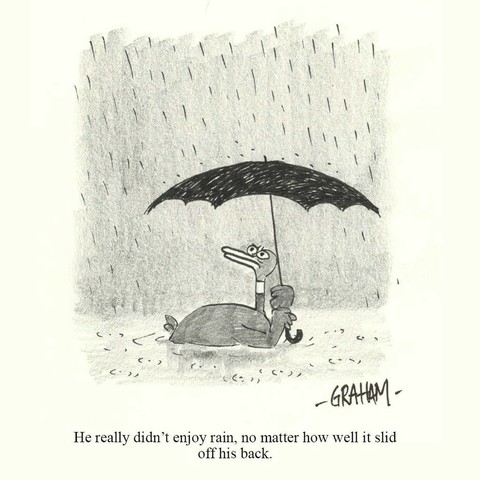 A cartoon illustration of a disgruntled duck holding an umbrella in the rain. Caption reads "He really didn't enjoy rain, no matter how well it slid off his back."