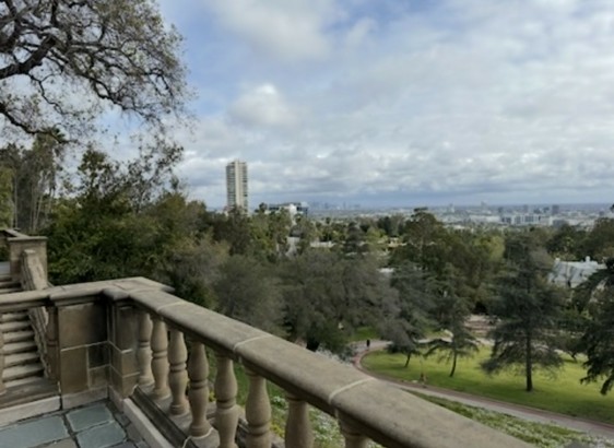 A view over Beverly Hills treetops and a solitary highrise. 