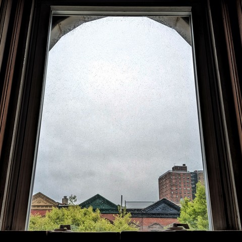 Looking through an arched window ninety minutes after sunrise the sky is full of grey clouds. Pointed roofs of Harlem brownstones with red brickwork are across the street, and a taller apartment building can be seen in the distance. The green tops of two trees are on the bottom and right.