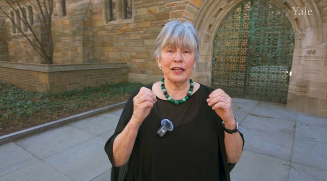 A woman in front of green verdigris gates.