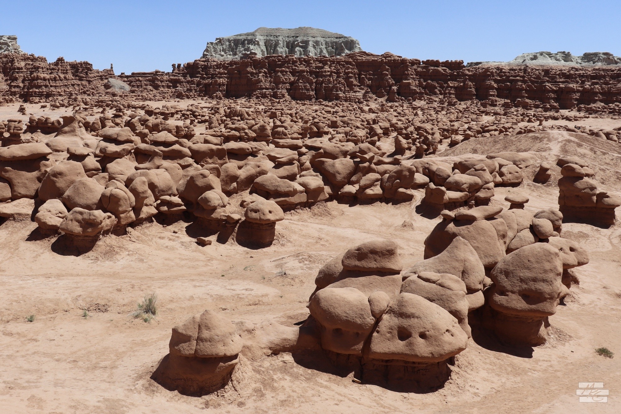 Photograph of a valley crowded with round-topped, red rock hoodoos, short columnar formations left by erosion. Photograph of a valley crowded with round-topped, red rock hoodoos, short columnar formations left by erosion.