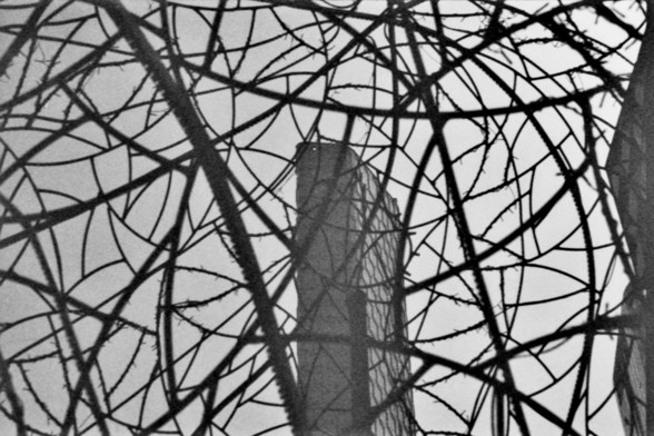 **English Alt Text:**
"A black and white photograph showing a close-up view of a complex, geometric, and abstract pattern. The pattern consists of intersecting lines and shapes, creating a web-like structure. In the center, there is a vertical rectangular object that stands out against the intricate background."

**Chinese Alt Text:**
"一张黑白照片，展示了一个复杂的几何抽象图案的特写视图。该图案由相交的线条和形状组成，形成一个网状结构。在中心位置，有一个垂直的矩形物体，在错综复杂的背景中显得格外突出。"