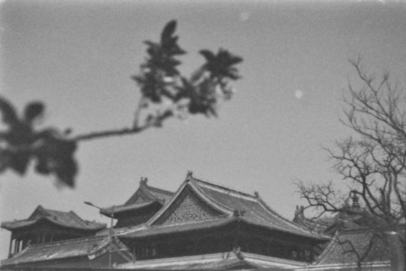 **English:**
A black-and-white photograph showcasing traditional Chinese architecture with intricately designed, upturned eaves. The foreground features a blurred branch with leaves, adding depth to the image. The buildings have a classic, historical appearance, indicative of ancient Chinese design.

**Chinese:**
一张展示传统中国建筑的黑白照片，建筑物具有精心设计的翘起屋檐。前景是一根带有叶子的模糊树枝，为图片增添了深度。这些建筑具有经典的历史外观，体现了古代中国的设计风格。