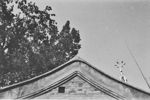 **English:**
A black and white photograph showing the top of a traditional building with a tiled roof. The roof has a distinct curved design. In the background, there is a large tree with dense foliage. The sky is clear, and there is a weather vane visible on the right side of the image.

**Chinese:**
一张黑白照片，展示了一座传统建筑的屋顶，屋顶铺有瓦片，设计独特且呈弧形。背景中有一棵枝叶茂密的大树。天空晴朗，照片右侧可见一个风向标。