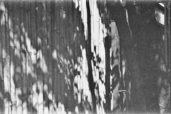 **English:**
A black and white photograph of a bamboo fence. The bamboo stalks are arranged vertically, creating a dense and uniform pattern. The shadows of the bamboo stalks add texture to the image.

**Chinese:**
一张黑白照片，展示了一道竹制围栏。竹子竿垂直排列，形成了一个密集而均匀的图案。竹子的阴影为图像增添了质感。