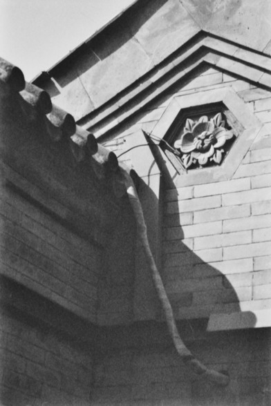 **English:**
A black and white photograph capturing the architectural details of a building. The image focuses on a decorative element, possibly a flower or rosette, set within a hexagonal frame on the building's facade. The shadow of a nearby structure, possibly a roof or awning, is cast onto the building, adding depth to the scene.

**Chinese:**
一张黑白照片，捕捉了建筑物的细节。照片聚焦于建筑立面上一个六边形框架内的装饰元素，可能是一朵花或蔷薇花饰。附近结构的阴影，可能是屋顶或遮篷，投射在建筑物上，为场景增添了深度。